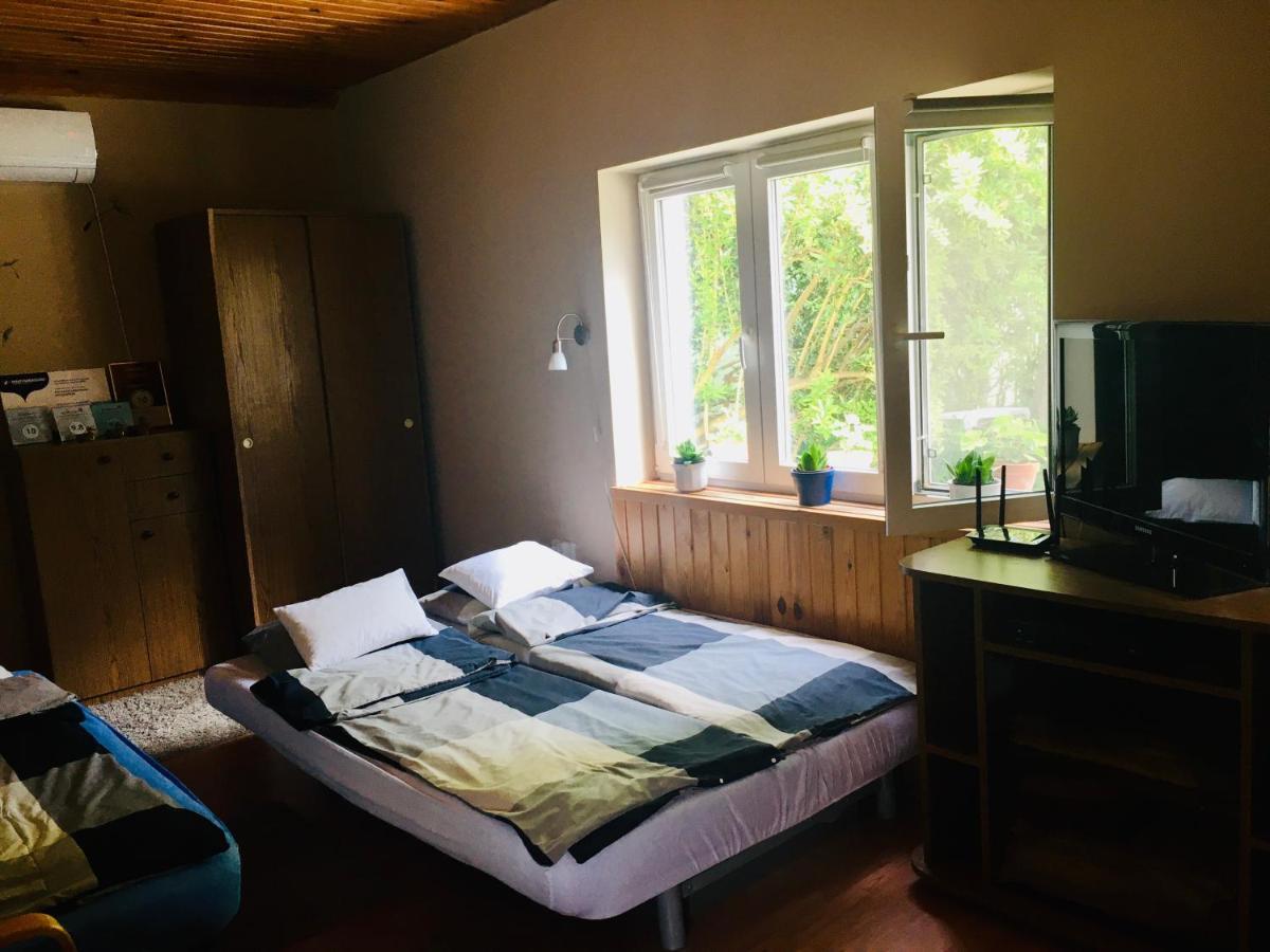Pitypang Apartman Kapolnasnyek Luaran gambar